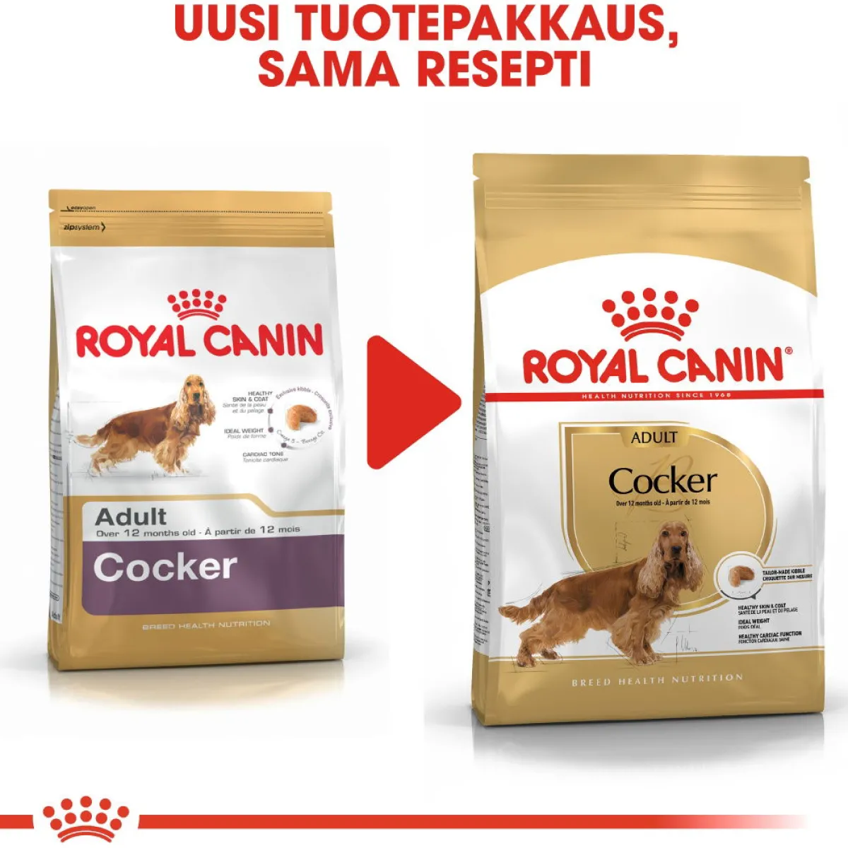 Cocker Adult>Royal Canin Discount