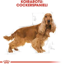 Cocker Adult>Royal Canin Discount