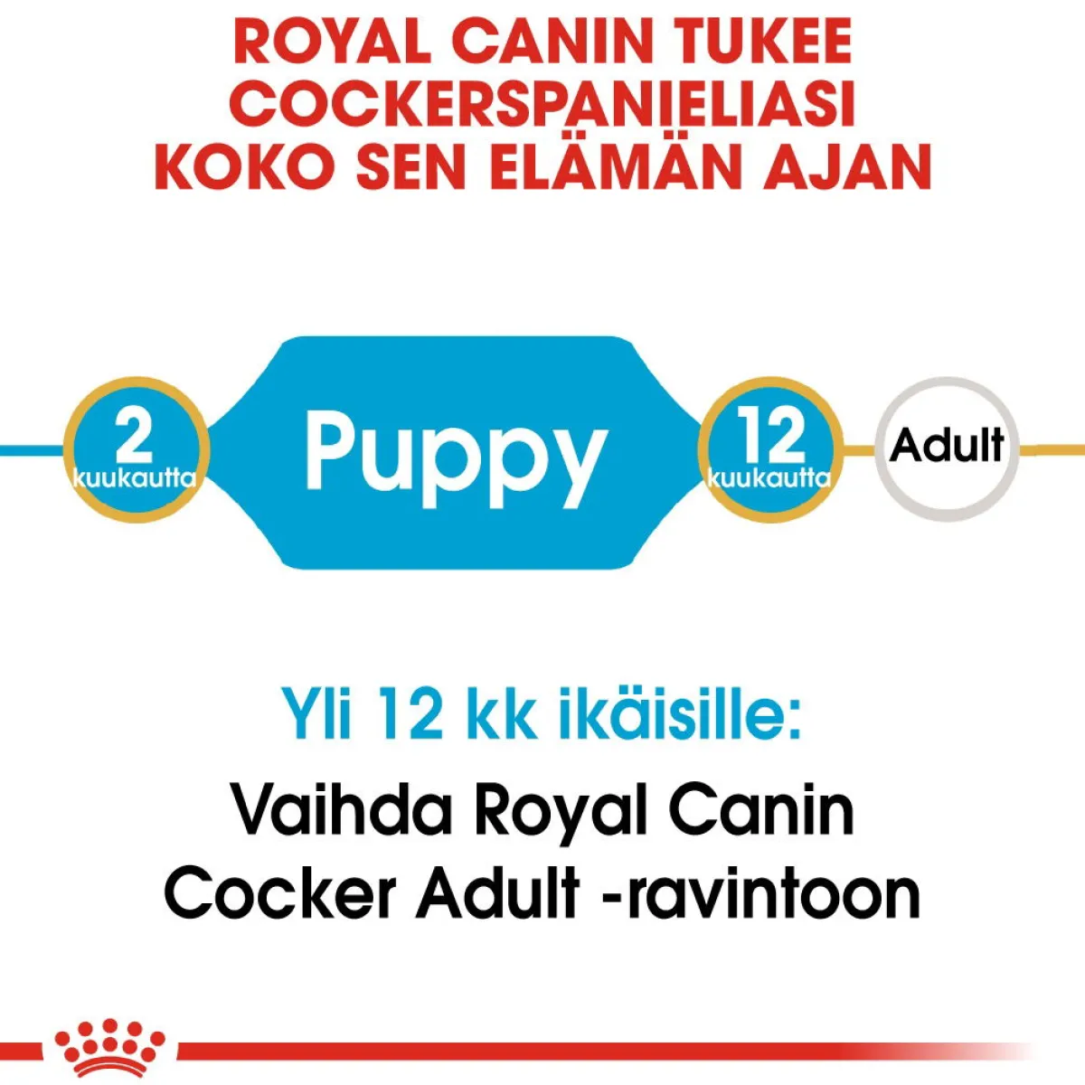 Cocker Puppy 3 kg>Royal Canin Best
