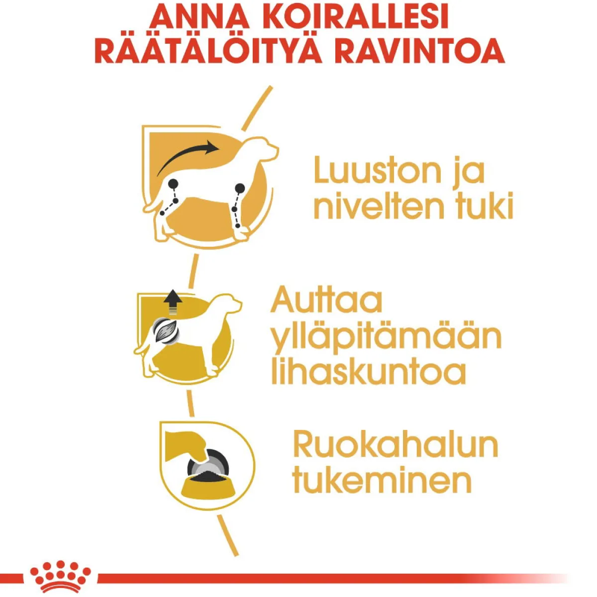 Dachshund Wet 12 x 85 g>Royal Canin New
