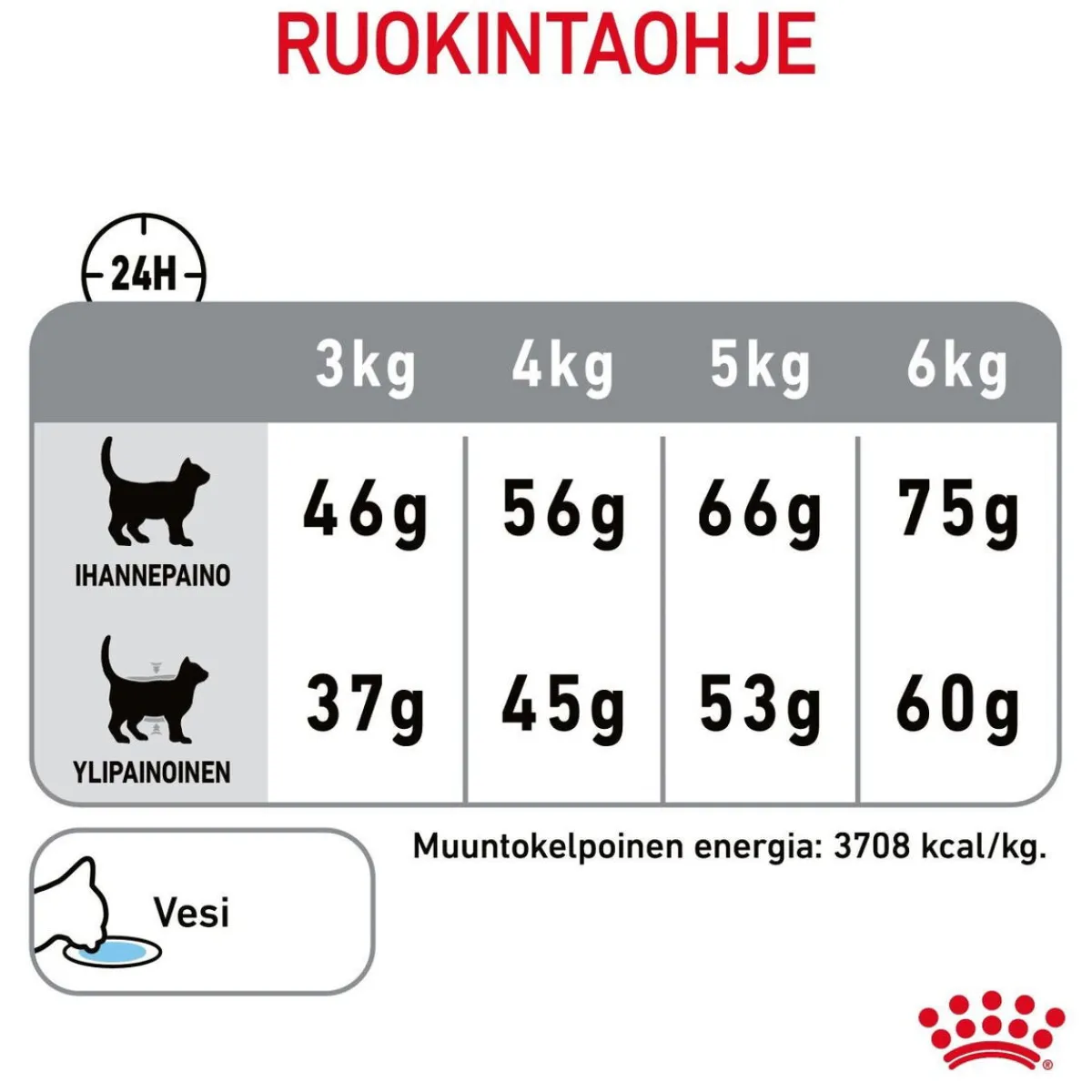Dental Care>Royal Canin Clearance