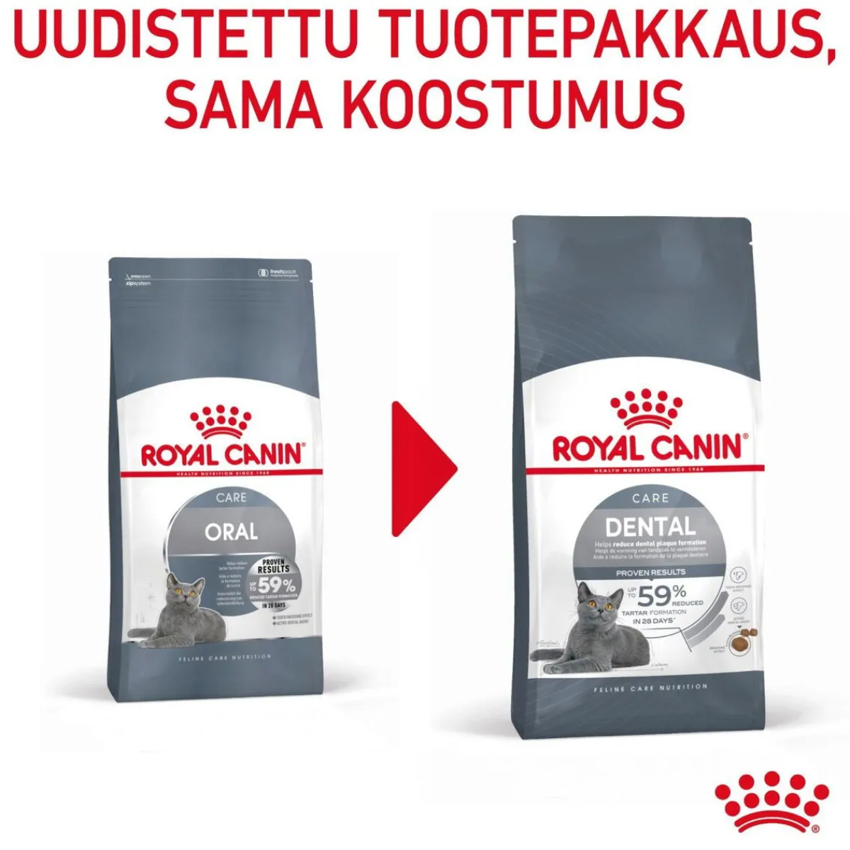 Dental Care>Royal Canin Clearance