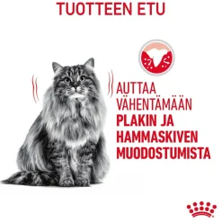 Dental Care>Royal Canin Clearance