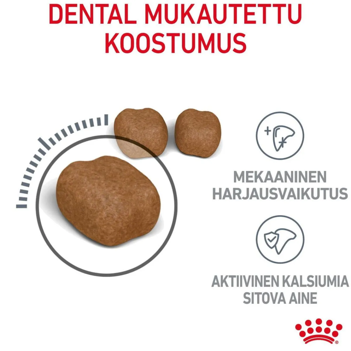 Dental Care>Royal Canin Clearance