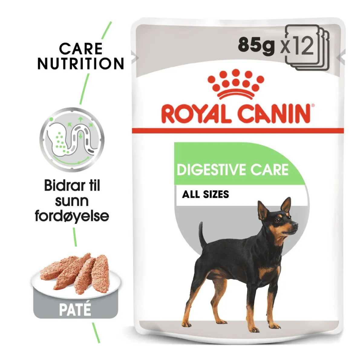 Digestive Care wet 48x85 g>Royal Canin New