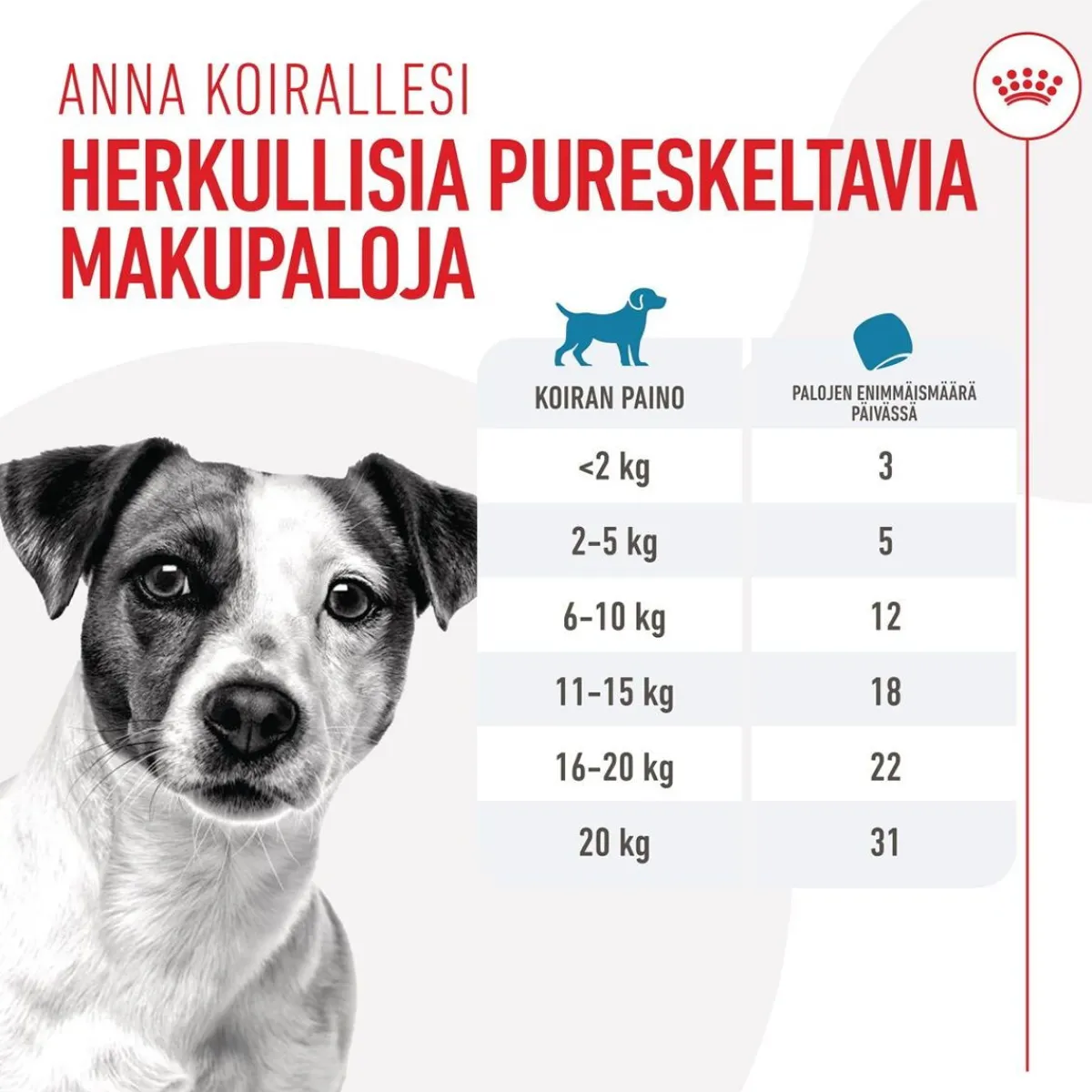Dog Training Treats 110g>Royal Canin Outlet