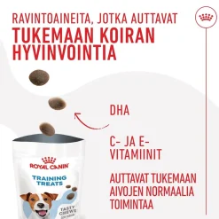 Dog Training Treats 110g>Royal Canin Outlet