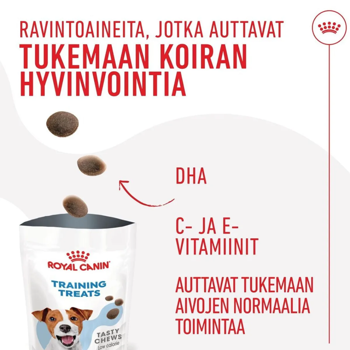 Dog Training Treats 110g>Royal Canin Outlet
