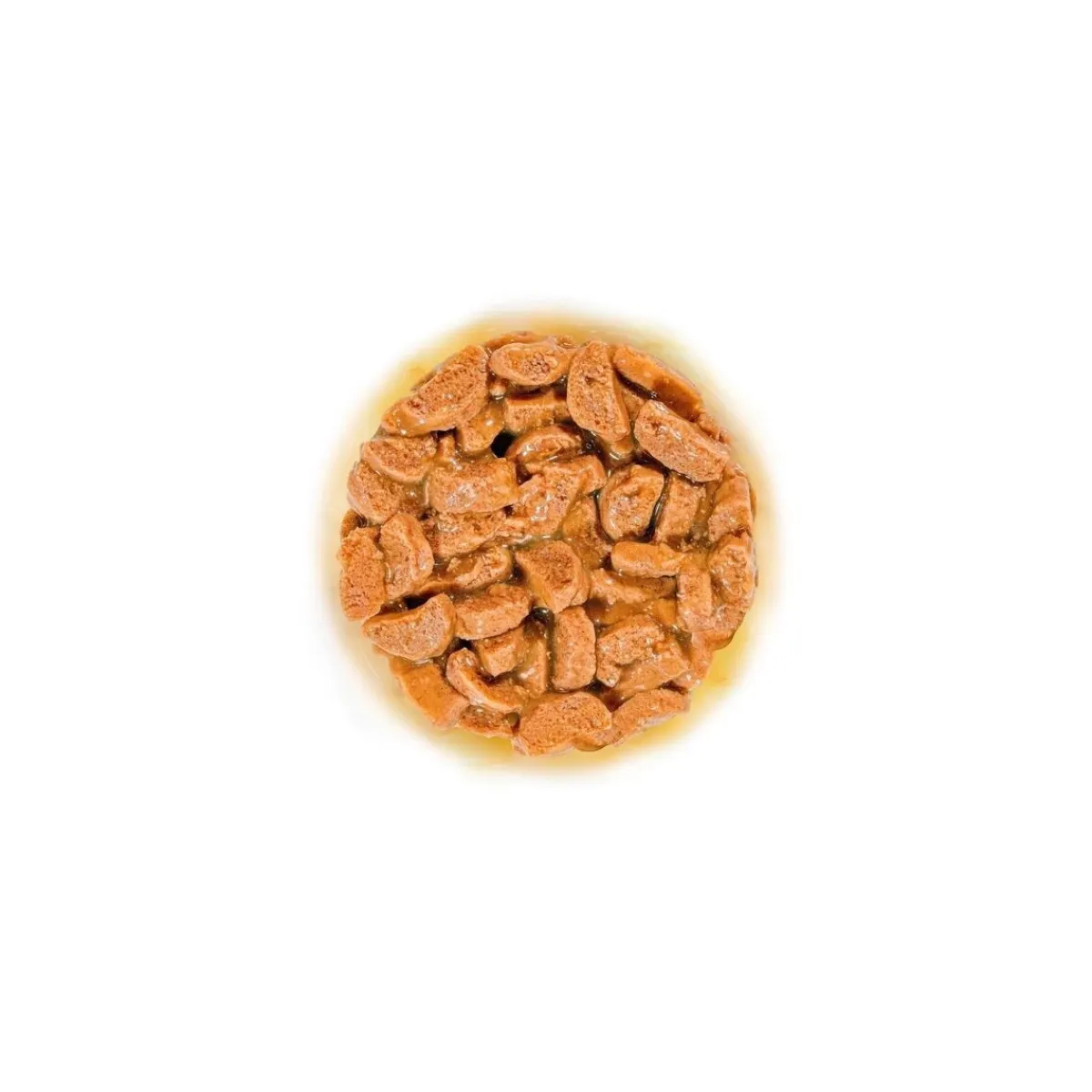 FHN Ageing 11+ kastikeessa 12 x 85 g>Royal Canin Sale