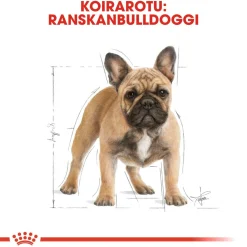 French Bulldog Adult>Royal Canin Sale