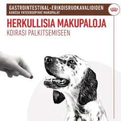 Royal Canin Gastrointestinal Treats 230 g>Royal Canin Veterinary Diets Sale
