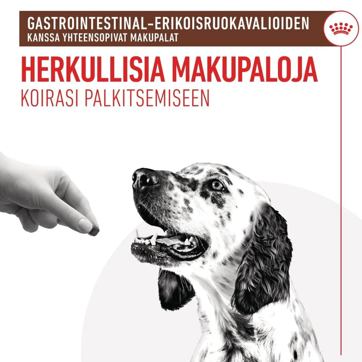Royal Canin Gastrointestinal Treats 230 g>Royal Canin Veterinary Diets Sale
