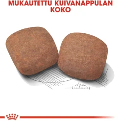 Giant Adult 15 kg>Royal Canin