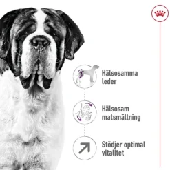 Giant Adult 2 x 15kg>Royal Canin Online