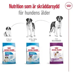 Giant Adult 2 x 15kg>Royal Canin Online
