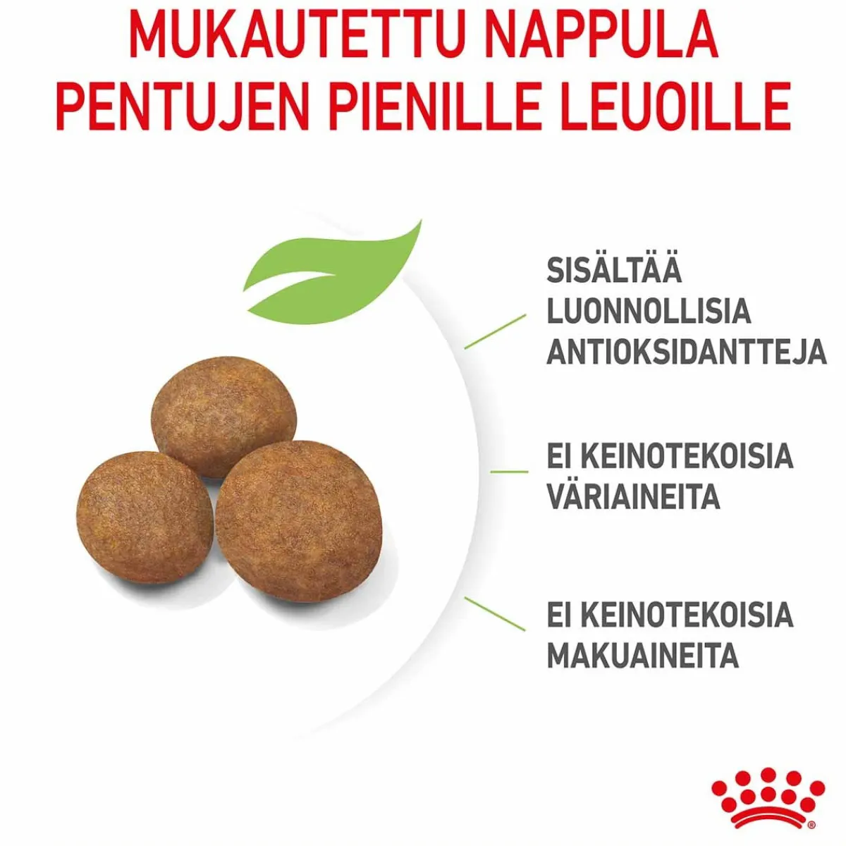 Giant Puppy>Royal Canin Best