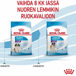 Giant Puppy>Royal Canin Best