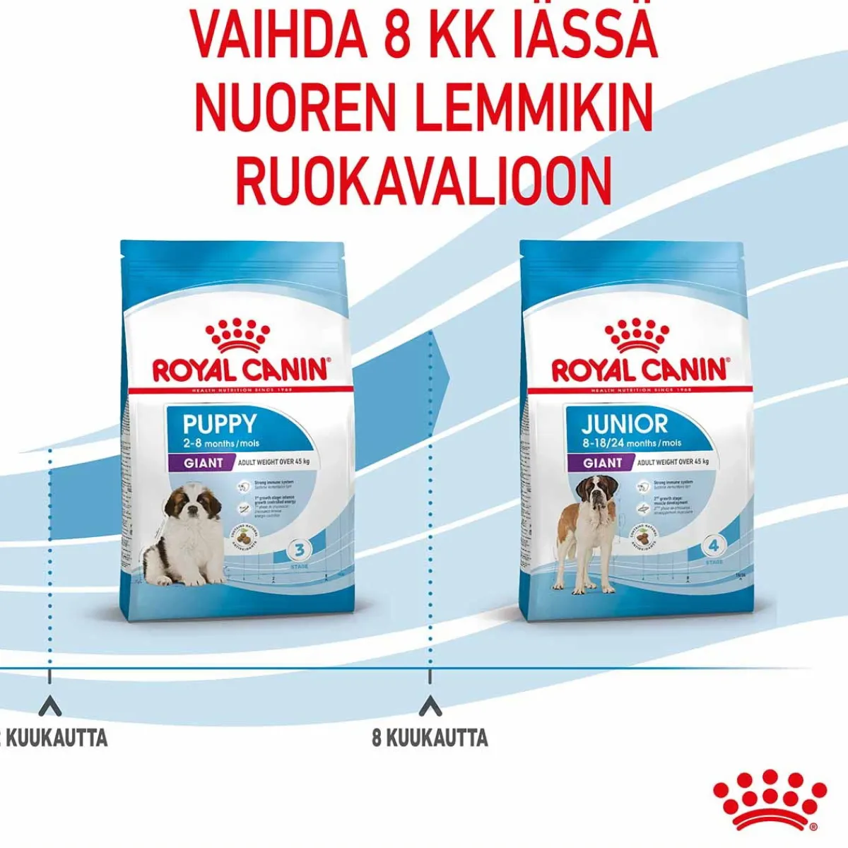 Giant Puppy>Royal Canin Best