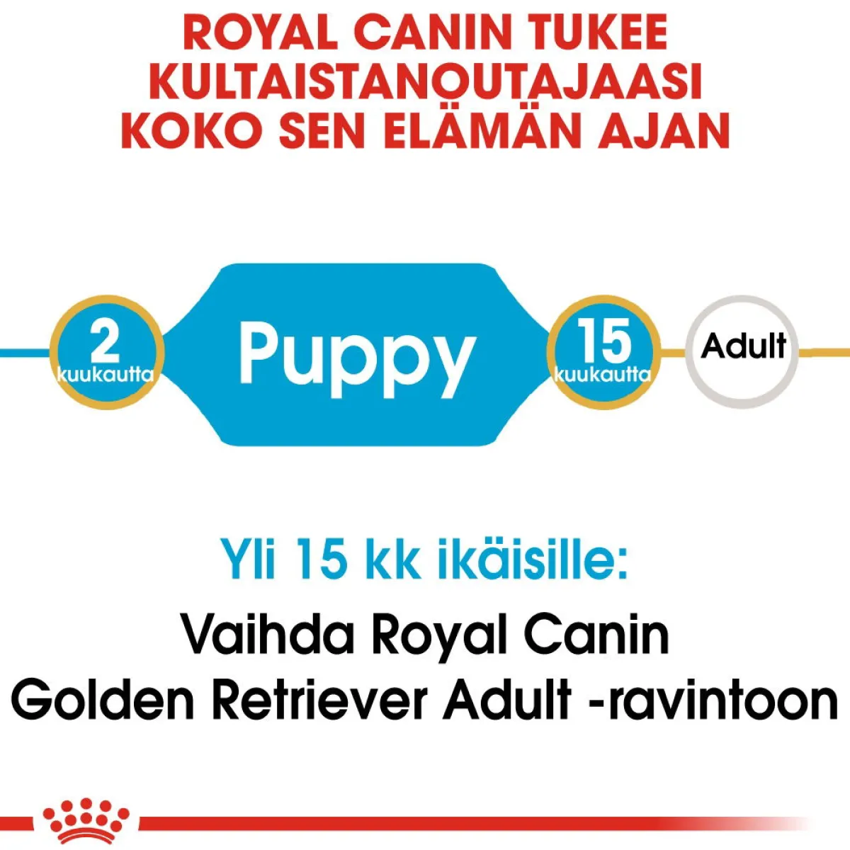 Golden Retriever Puppy 12 kg>Royal Canin Online