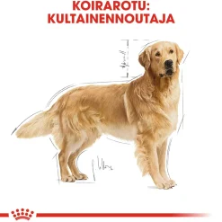Golden Retriever Adult 12 kg>Royal Canin Best