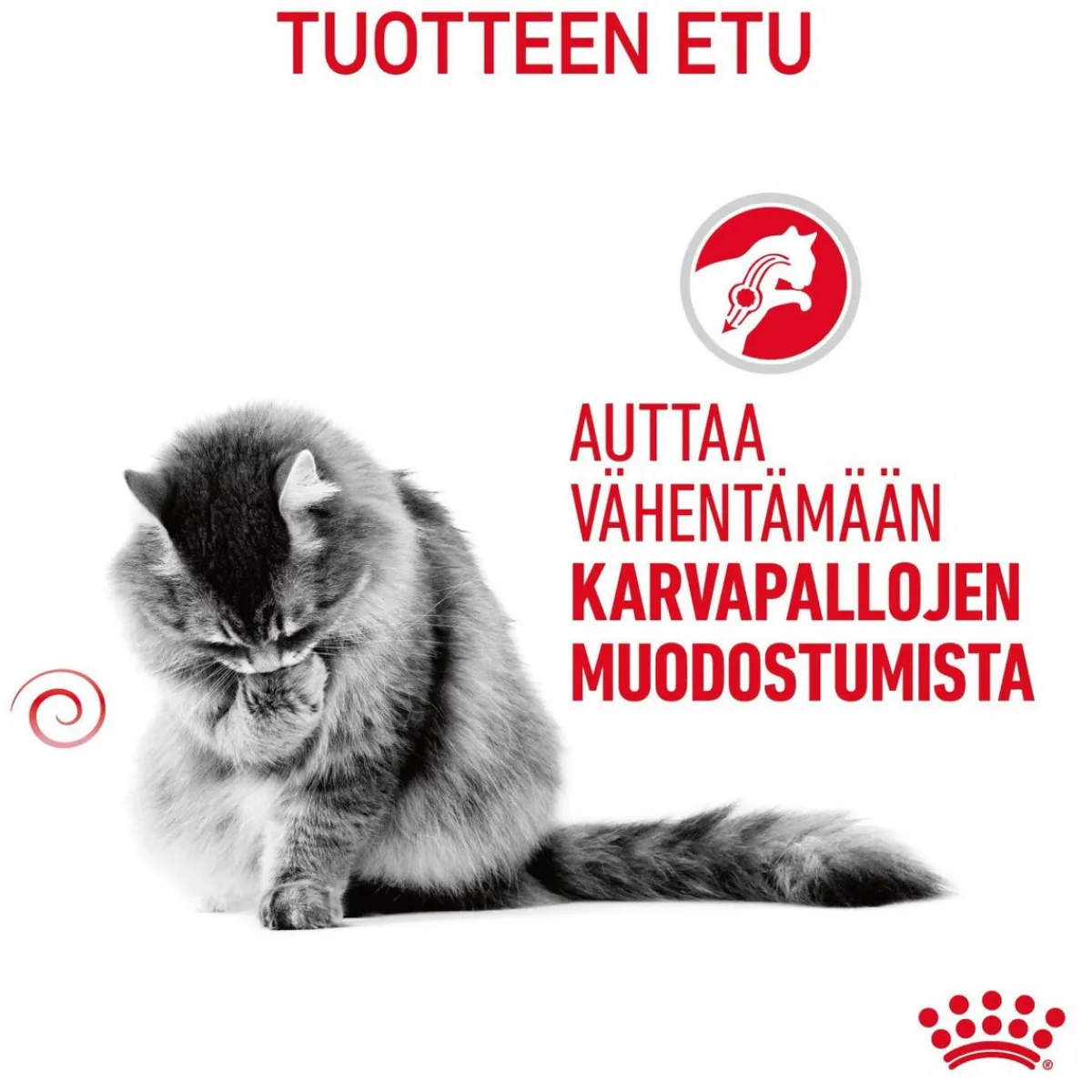 Hairball Care>Royal Canin New