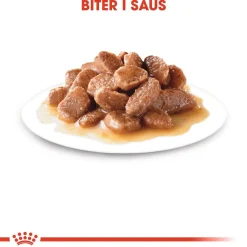 Hair & Skin Care Gravy 85g, 48-pack>Royal Canin Sale
