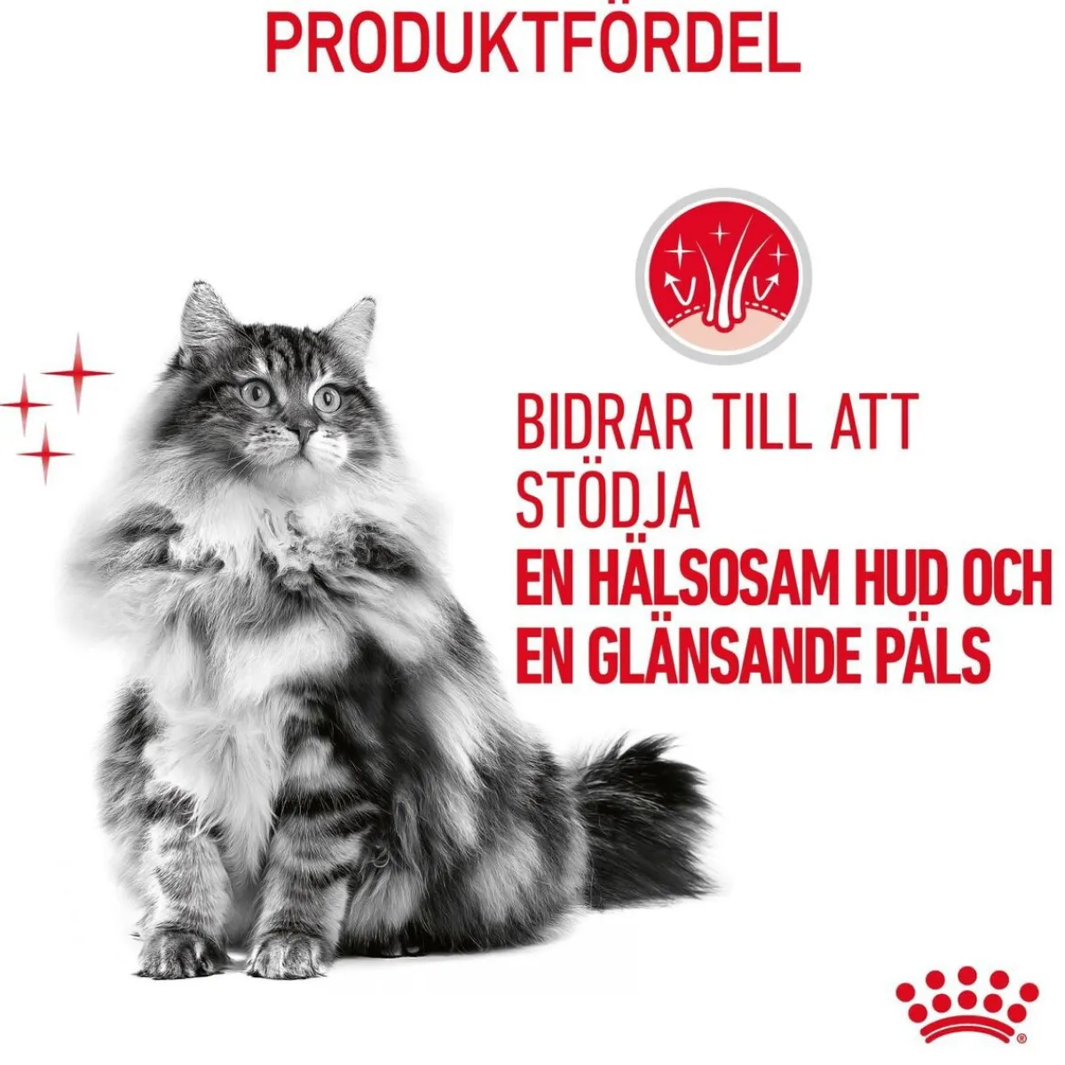 Hair & Skin Care Gravy 85g, 48-pack>Royal Canin Sale