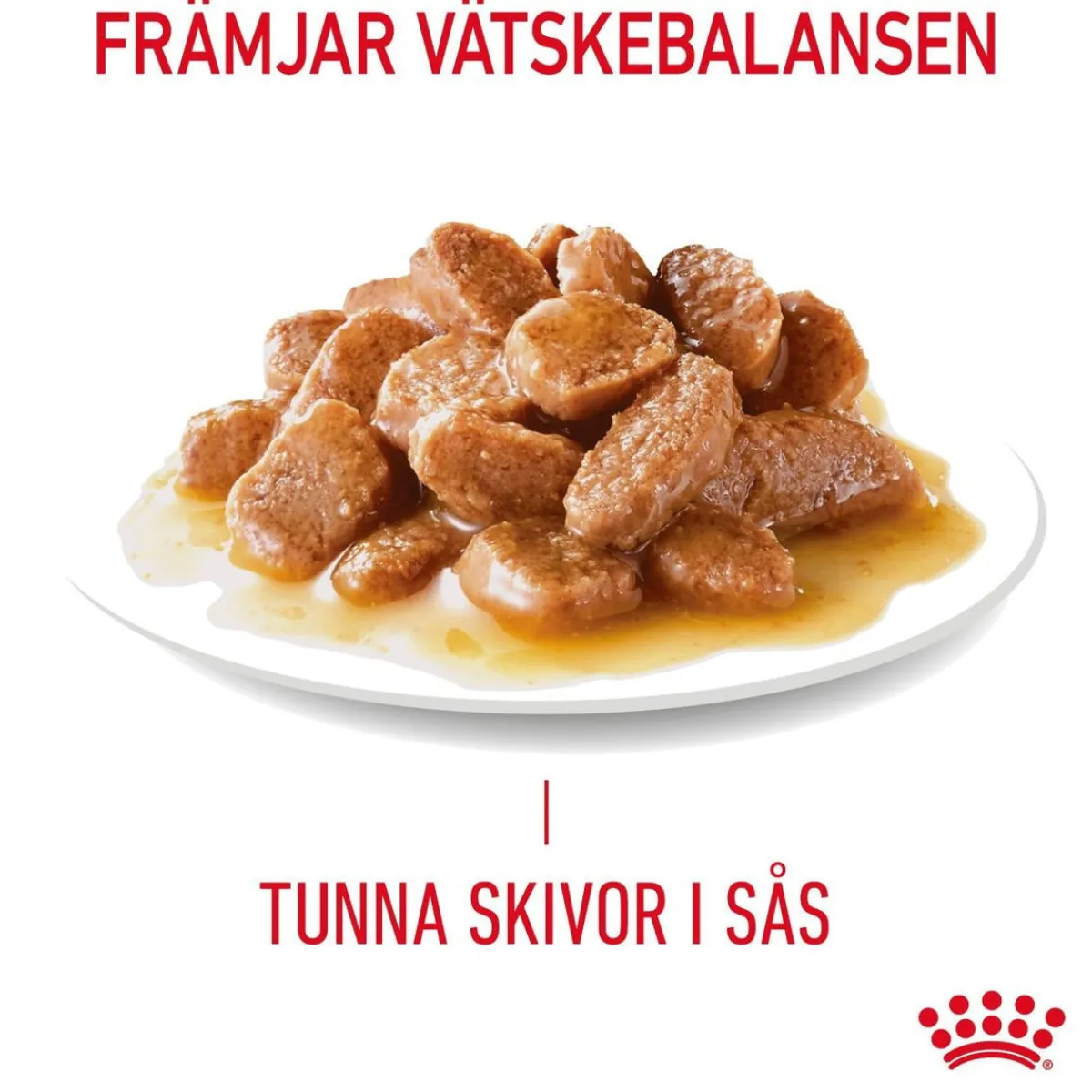 Hair & Skin Care Gravy 85g, 48-pack>Royal Canin Sale