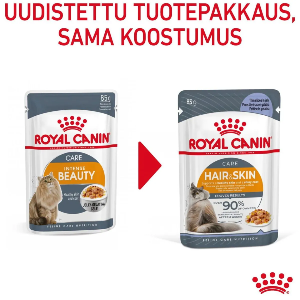 Hair & Skin Care Jelly, 12x85g>Royal Canin Outlet
