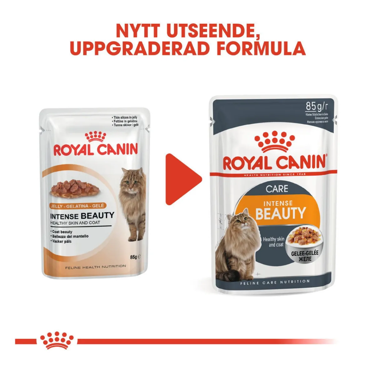 Hair & Skin Care Jelly 85g, 48-pack>Royal Canin Sale