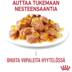 Hair & Skin Care Jelly 85g, 48-pack>Royal Canin Sale