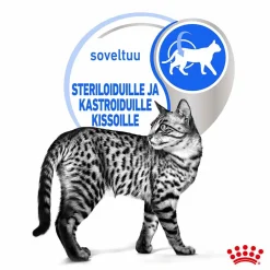 Indoor Gravy 85 g, 48-pack>Royal Canin Clearance