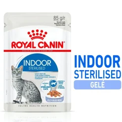 Indoor Jelly 85 g, 48-pack>Royal Canin Clearance