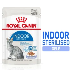 Indoor Jelly 85 g, 48-pack>Royal Canin Clearance