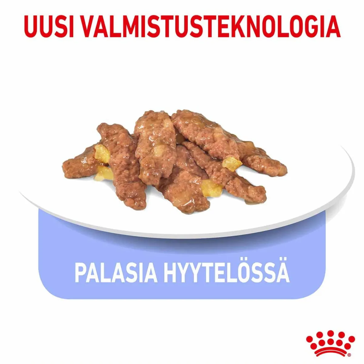 Indoor Jelly 12 x 85 g>Royal Canin Sale