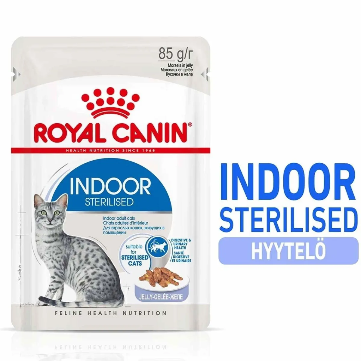 Indoor Jelly 12 x 85 g>Royal Canin Sale
