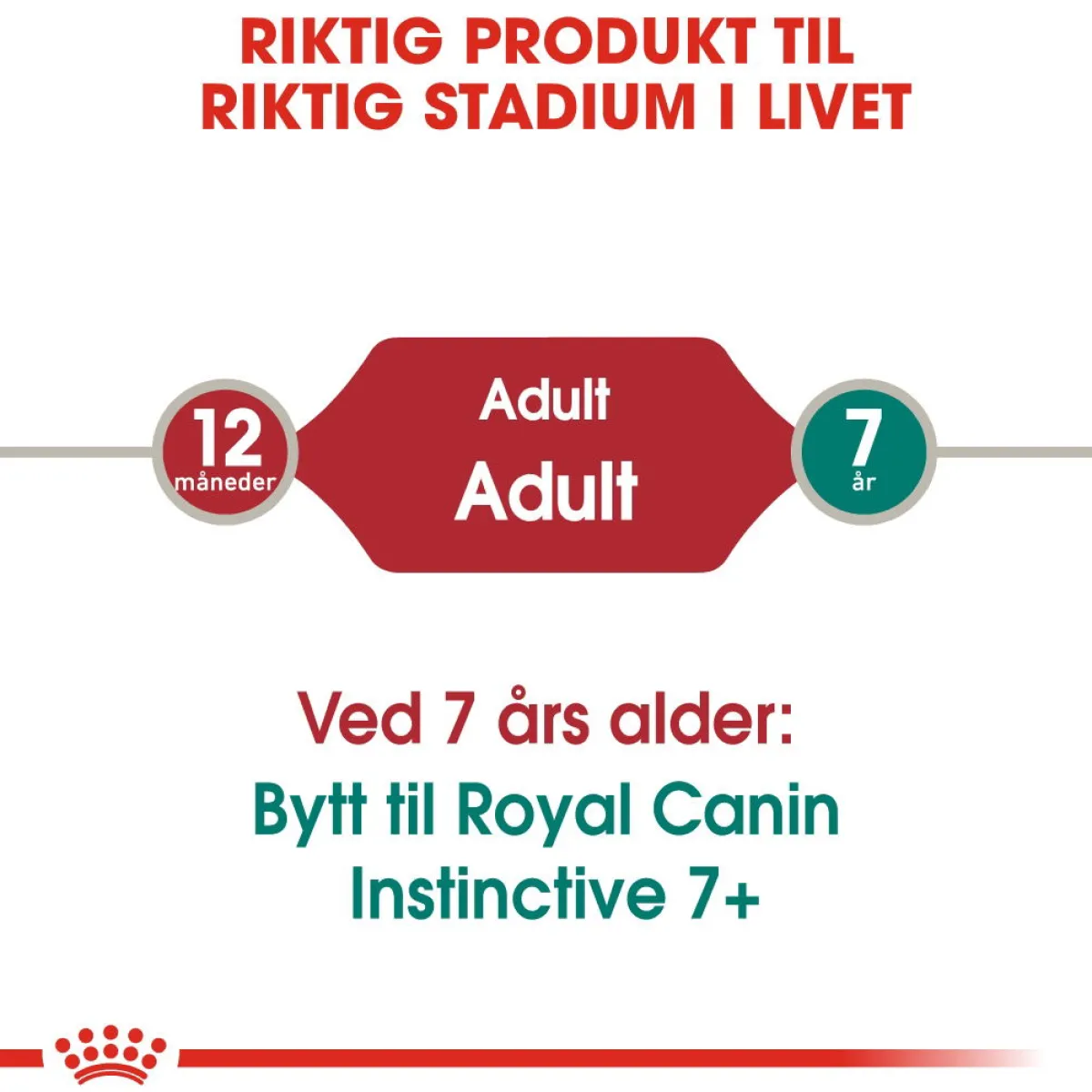 Instinctive Jelly 85g, 48-pack>Royal Canin New