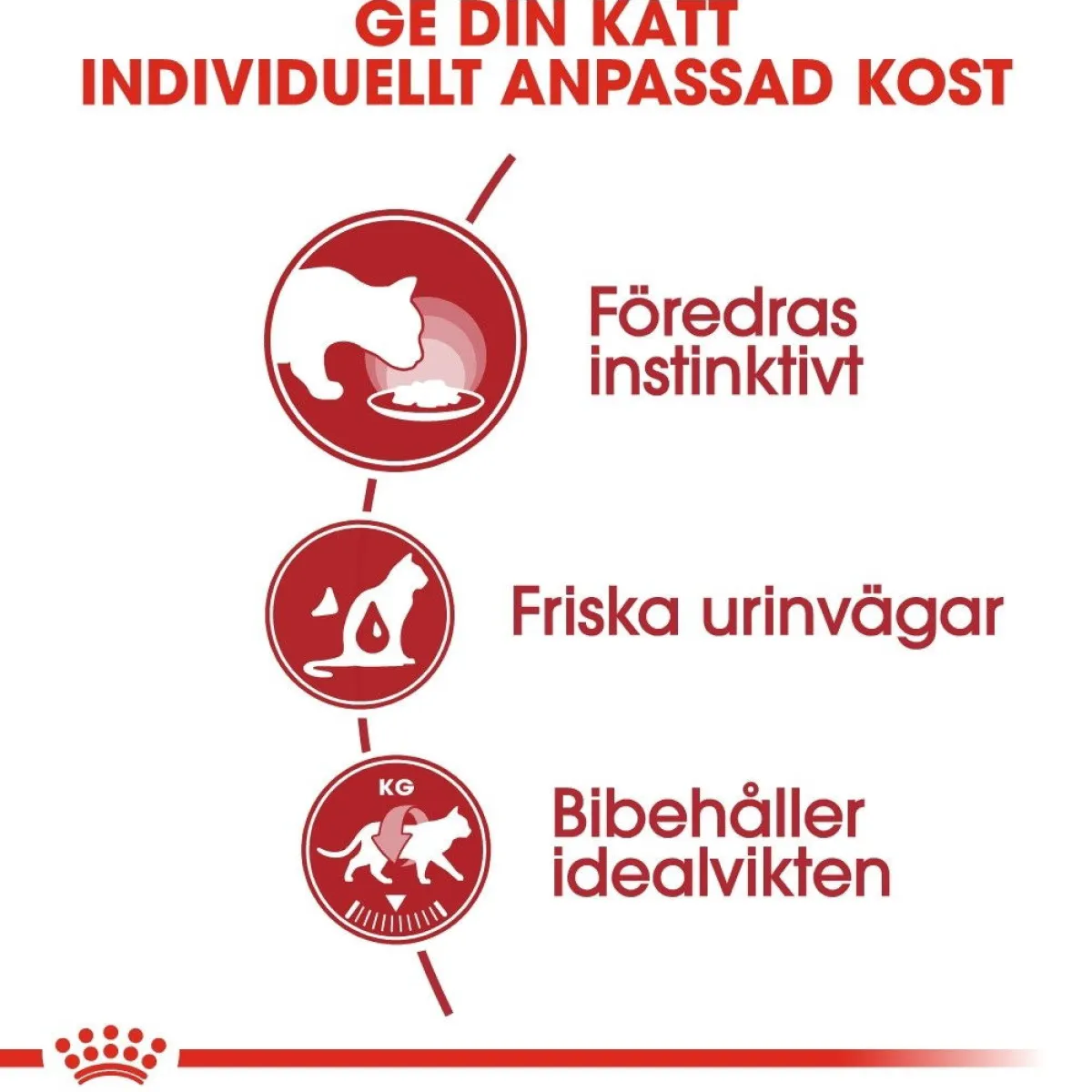 Instinctive Jelly 85g, 48-pack>Royal Canin New