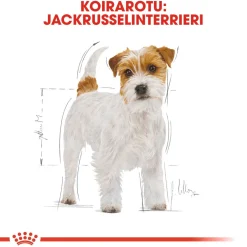Jack Russel Adult>Royal Canin Sale