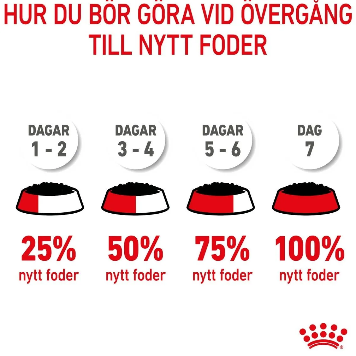 Kitten Gravy 85g, 48-pack>Royal Canin Hot