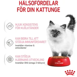 Kitten Gravy 85g, 48-pack>Royal Canin Hot