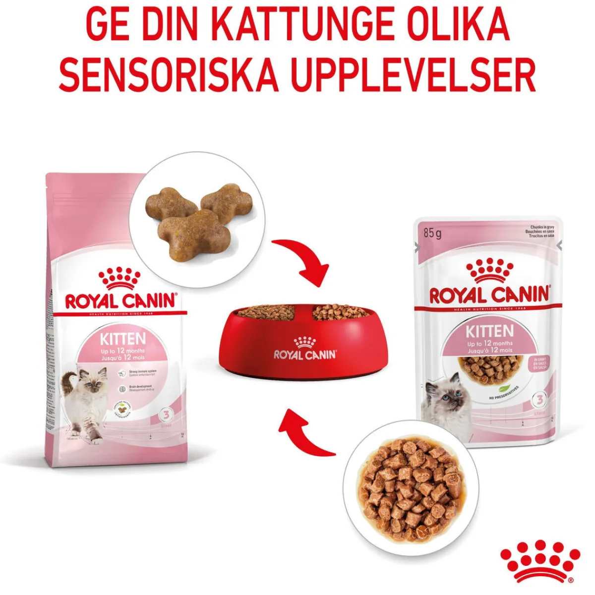 Kitten Gravy 85g, 48-pack>Royal Canin Hot
