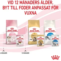 Kitten Gravy 85g, 48-pack>Royal Canin Hot