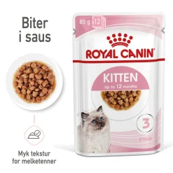 Kitten Gravy 85g, 48-pack>Royal Canin Hot