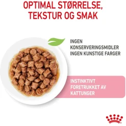 Kitten Gravy 85g, 48-pack>Royal Canin Hot