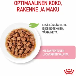 Kitten Gravy 85g, 48-pack>Royal Canin Hot