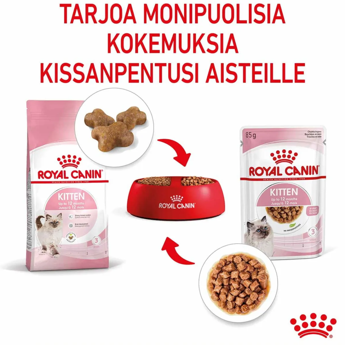 Kitten Gravy 85g, 48-pack>Royal Canin Hot