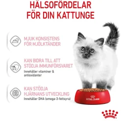 Kitten Gravy 85g, 48-pack>Royal Canin Hot