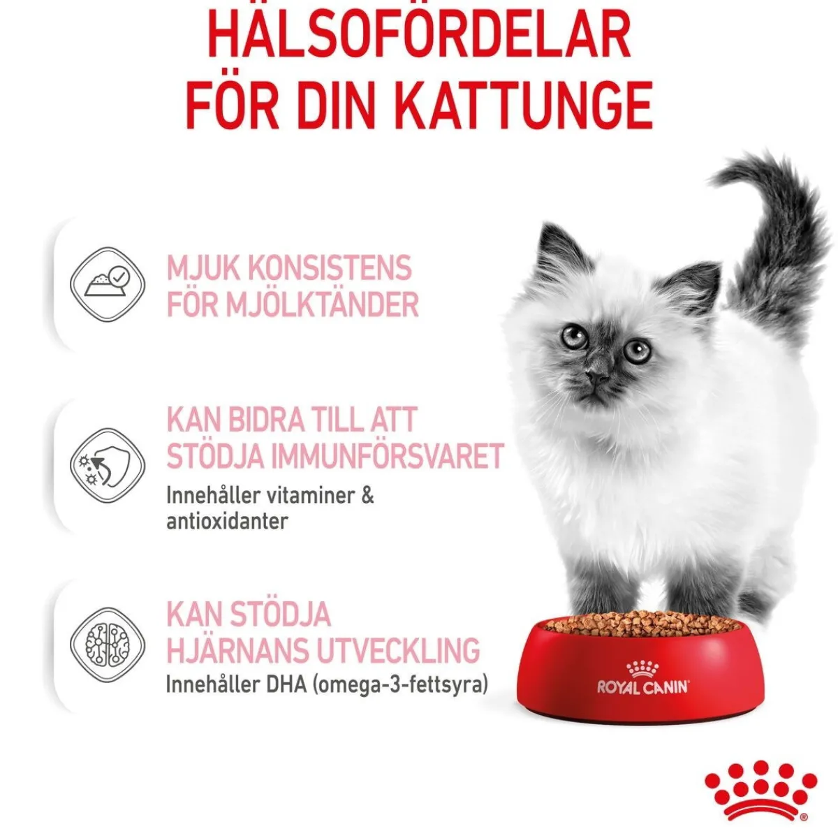 Kitten Gravy 85g, 48-pack>Royal Canin Hot