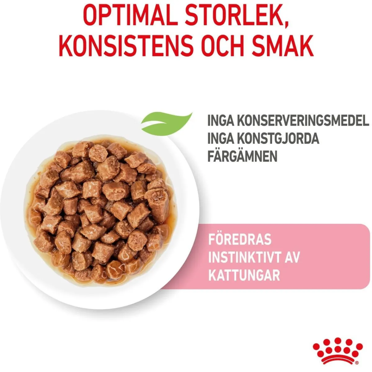 Kitten Gravy 85g, 48-pack>Royal Canin Hot